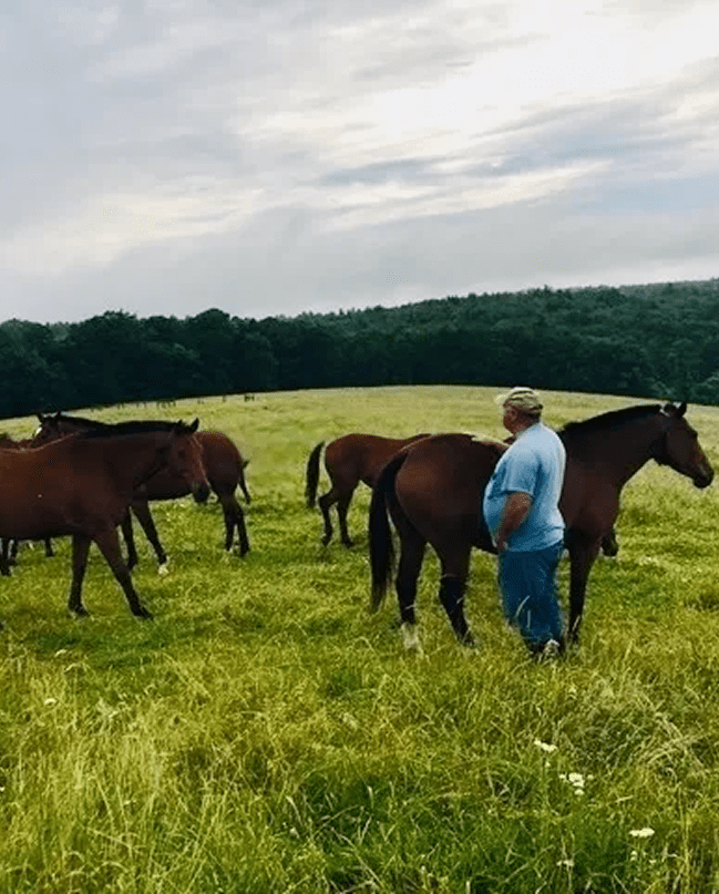A person stands in a grassy field with several horses under a cloudy sky.